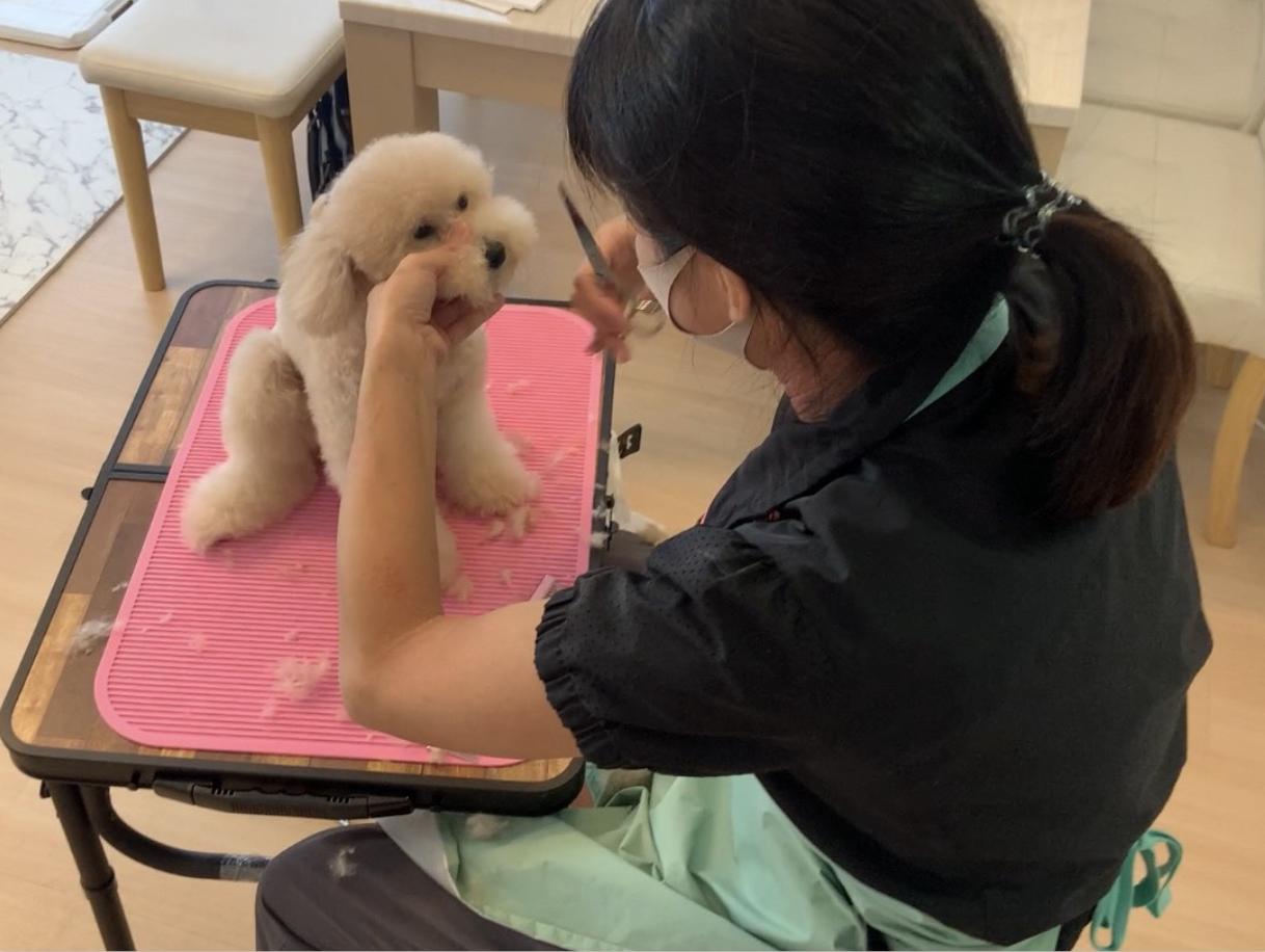 ホームトリマー事業